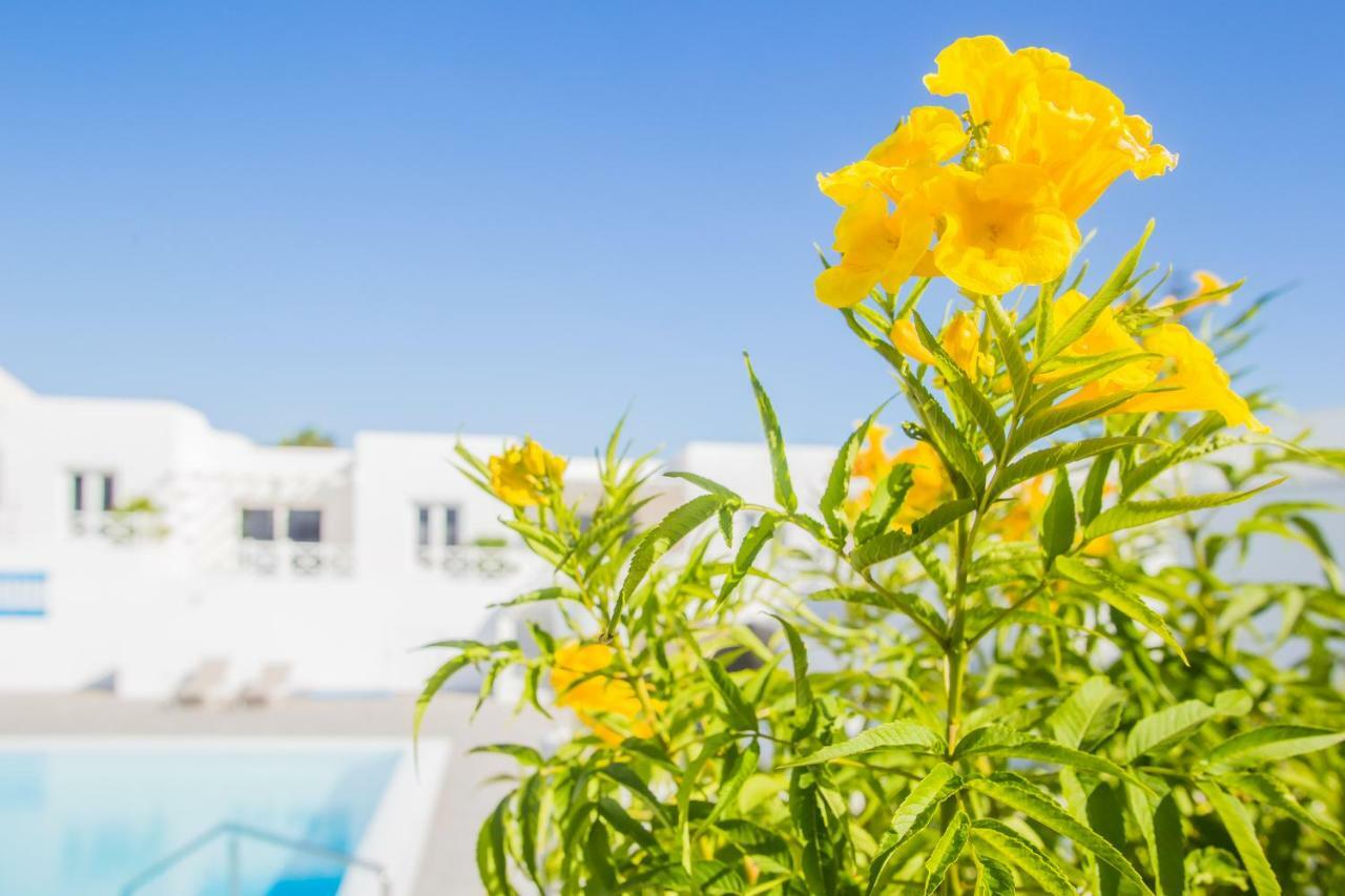 Flower Beach Suite 6 Плайя-Онда Экстерьер фото